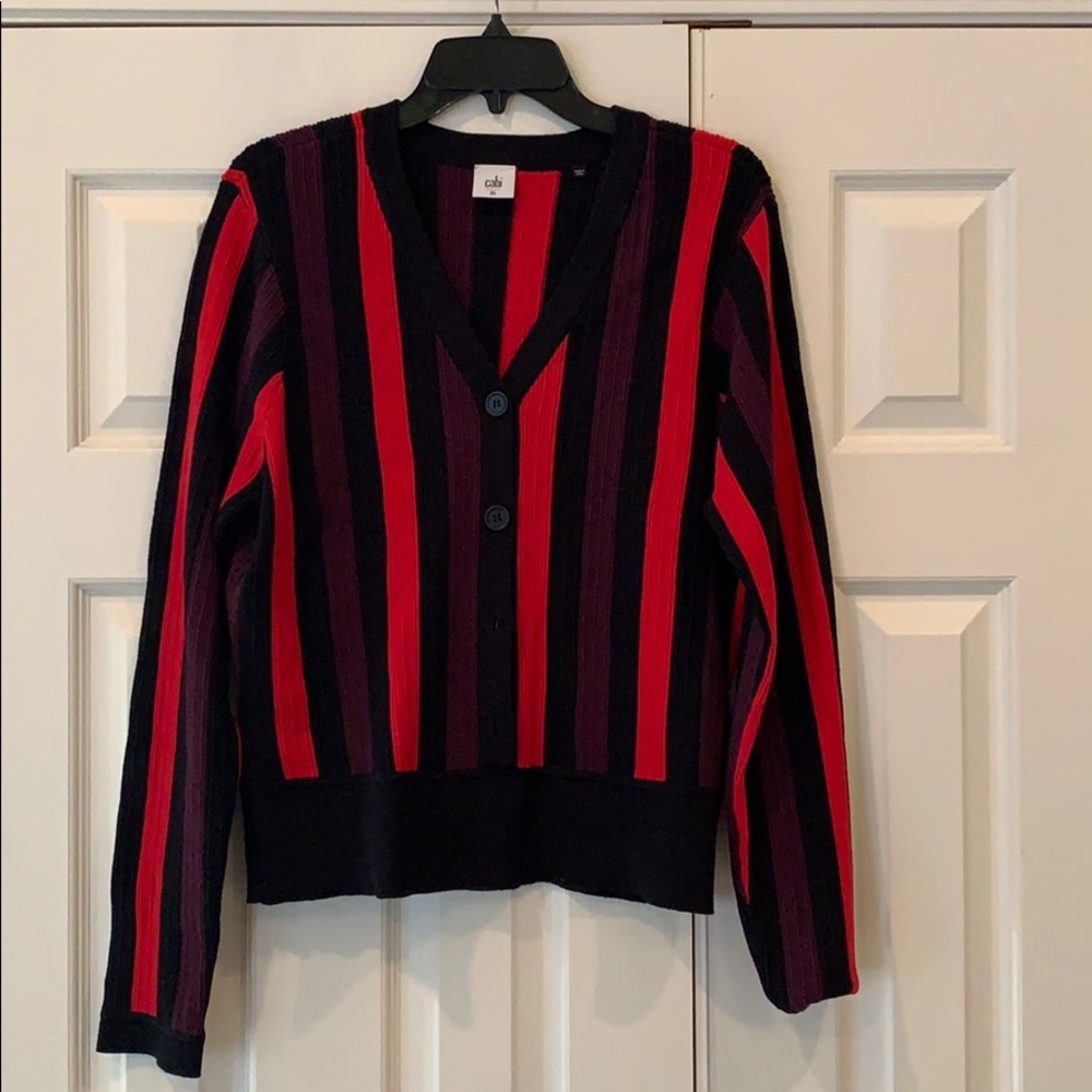 CAbi v-neck pullover sweater.